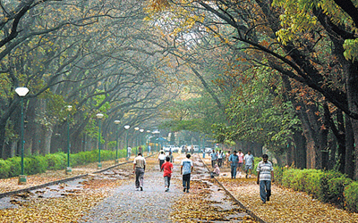 Cubbon Park