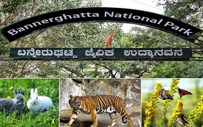 Bannerghatta Biological Park